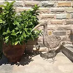 Nontas